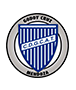 Logo de Godoy Cruz Antonio Tomba